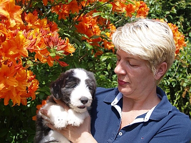 Lilli 7 Dienstag 015.jpg